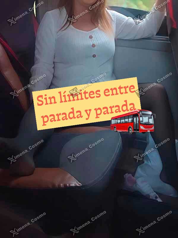 Miniatura 10